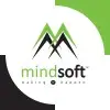 Mindsoft Innovations Private Limited