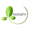 Moringha Ventures Private Limited