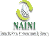 Naini Papers Limited