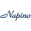 Napino Auto And Electronics Limited