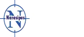 Narasipur Precision Private Limited