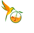 Nava Quality Foods Private Limited