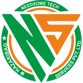 Needsome Tech Services Private Limited
