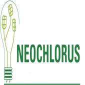 Neochlorus Solar Solutions Private Limited