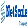 Netscale It Services Private Limited