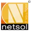 Netsol It Solutions Private Limited