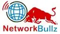 Networkbullz Internet Private Limited