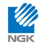 Ngk Technologies India Private Limited