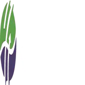 Nimbus Systems Private Limited