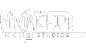 Ninja Chip Studios Private Limited