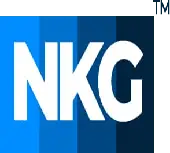 Nkg Advisory Business And Consulting Services Private Limited