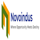 Novoindus Consultancy Services Private Limited