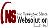 Ns Websolution Private Limited