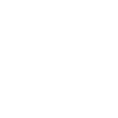 Nyx Wolves Freelance & Business Solutions Private Limited