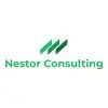 Nestor Consulting Private Limited