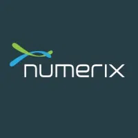 Numerix Financial Software (India) Private Limited