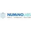 Numino Labs Private Limited