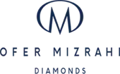 Ofer Mizrahi Diamond Private Limited