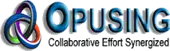 Opusing Information Services Private Limited