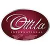 Ottila International Private Limited