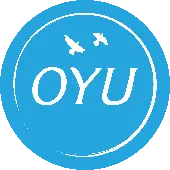 Oyu Infotech Private Limited