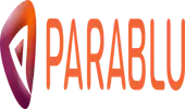 Parablu Systems Private Limited
