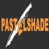 Pastel Shade Software Tchnology Private Limited