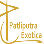Patliputra Entertainment Private Limited