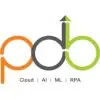 Pdb Technologies And Solutions Private Limited