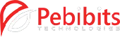 Pebibits Technologies Private Limited