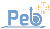 Pebplus Global Private Limited