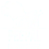 Peepal Prodigy Education Private Limited