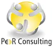 Peer Consulting India Private Limited