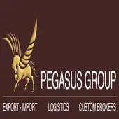 Pegasus Custom House Agency Private Limited