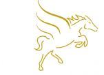 Pegasus Events Private Limited
