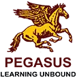 Pegasus Hrd Centre Private Limited