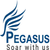 Pegasus Industries Private Limited