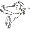 Pegasus Infocorp Private Limited
