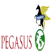 Pegasus Sustainability Private Limited