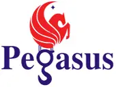 Pegasus Technocrats Private Limited