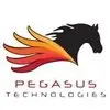 Pegasus Technologies Private Limited