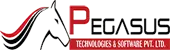 Pegasus Technologies & Software Private Limited