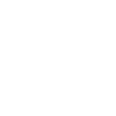 Perapsis Infotech Private Limited