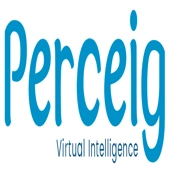 Perceig Ai Systems (Opc) Private Limited