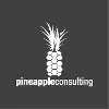 Pineapple Consulting Private Limited