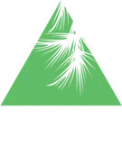 Pine Tree Pictures Private Limited