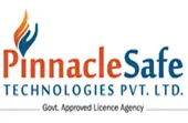 Pinnaclesafe Technologies Private Limited