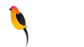 Pipra Solutions Private Limited