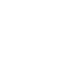 Pixl Visual Effects Private Limited