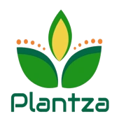 Plantza Organics India Private Limited